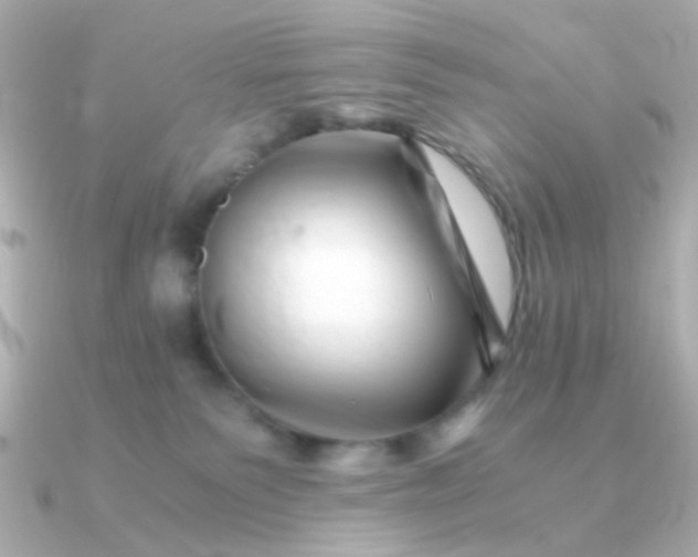 X0000090880135200708101351