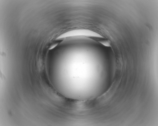 X0000090880136200708101351