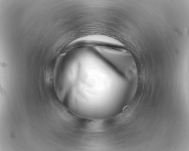 X0000090880138200708101351