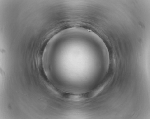 X0000090880139200708101351