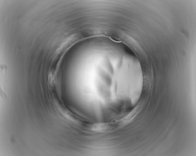 X0000090880142200708101351