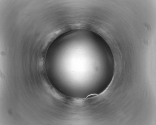 X0000090880144200708101351