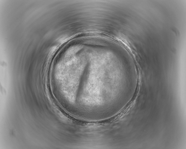 X0000090880145200708101350