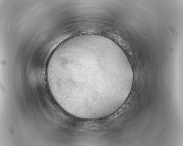 X0000090880146200708101350