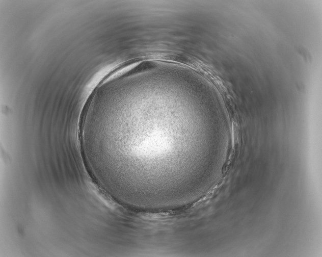 X0000090880147200708101350