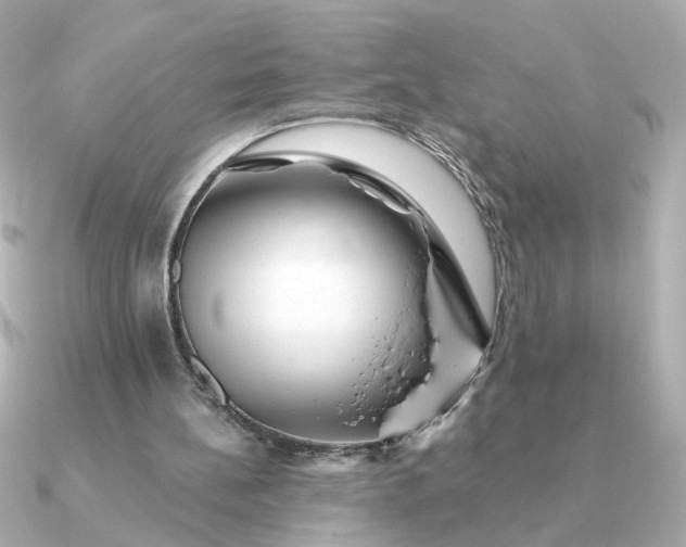 X0000090880148200708101351