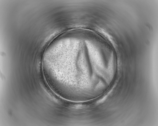 X0000090880153200708101351