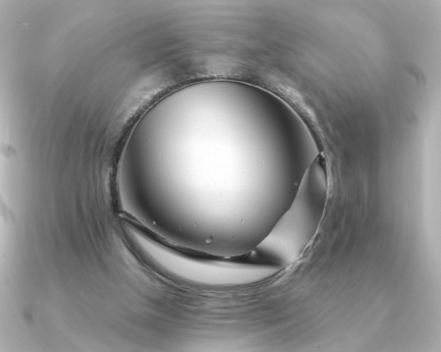 X0000090880154200708101351