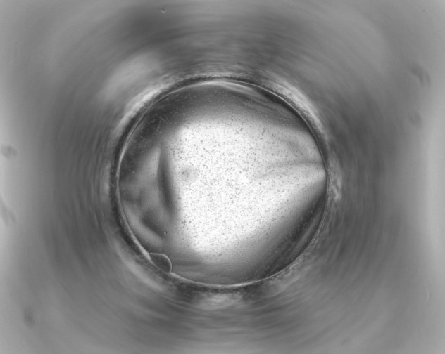 X0000090880155200708101351