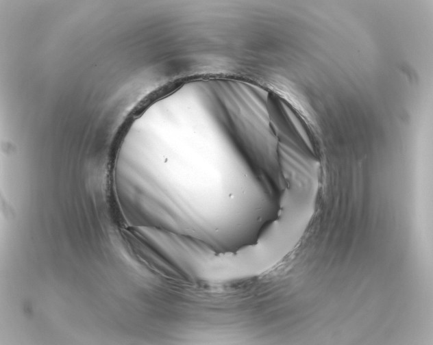 X0000090880156200708101351