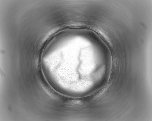 X0000090880159200708101351