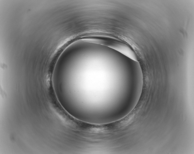 X0000090880160200708101351