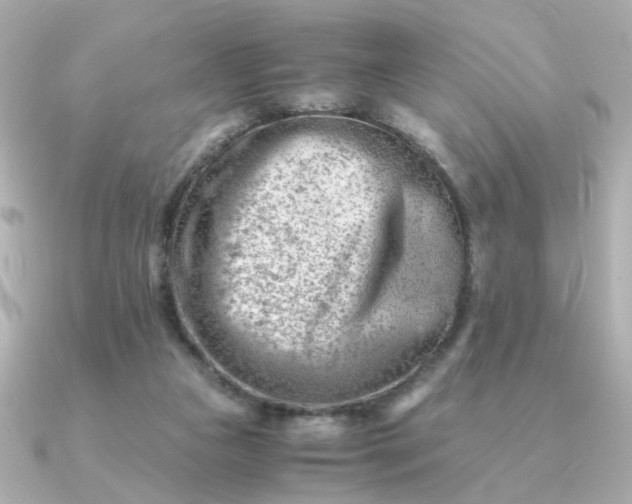 X0000090880161200708101351