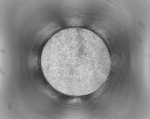 X0000090880162200708101351