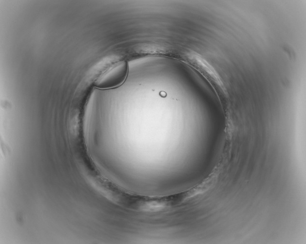 X0000090880163200708101351