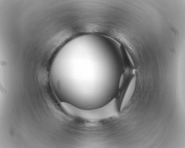 X0000090880164200708101351