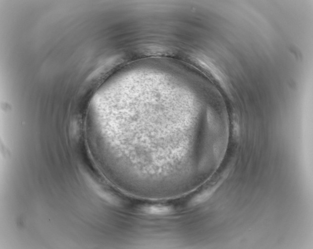 X0000090880165200708101351