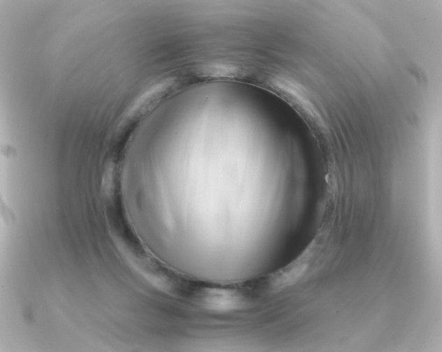 X0000090880167200708101351