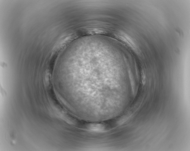 X0000090880169200708101351