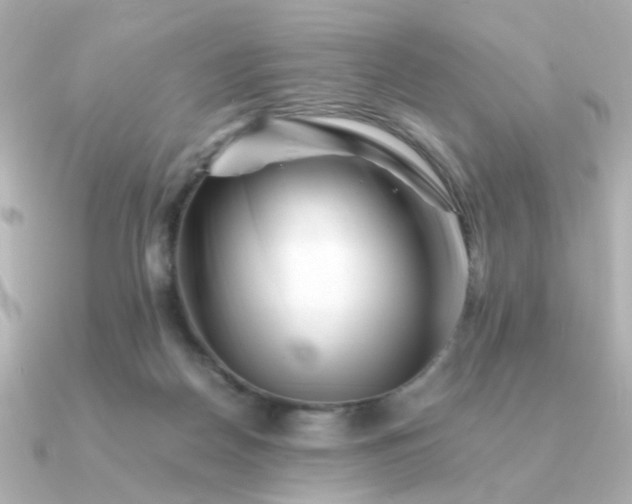 X0000090880170200708101351