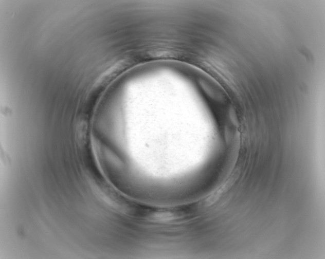 X0000090880171200708101351