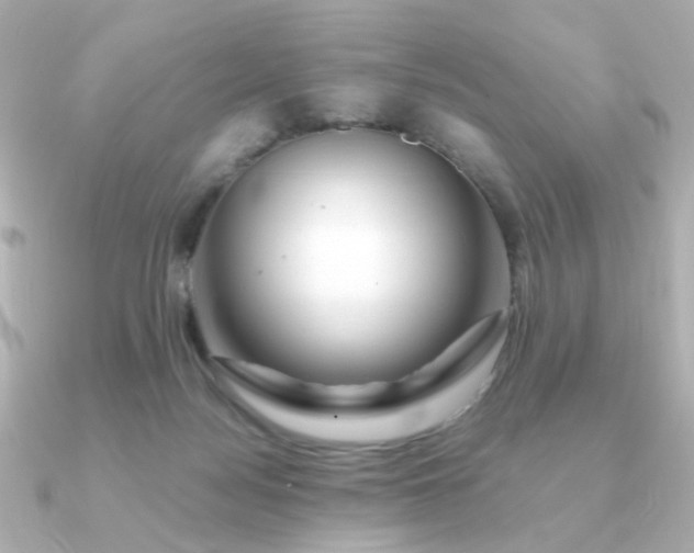 X0000090880172200708101351