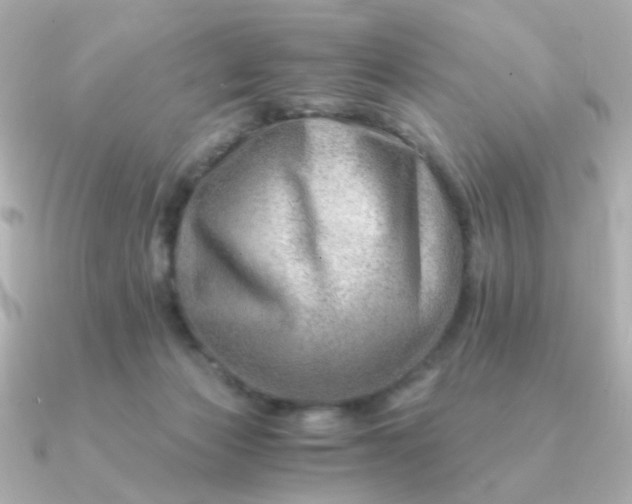 X0000090880173200708101351