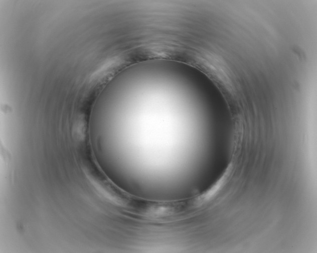 X0000090880174200708101351