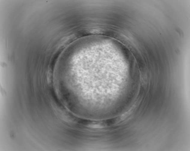 X0000090880175200708101351