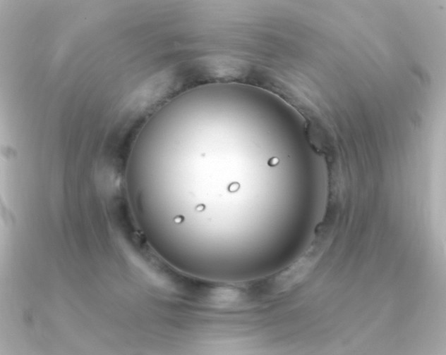 X0000090880176200708101351