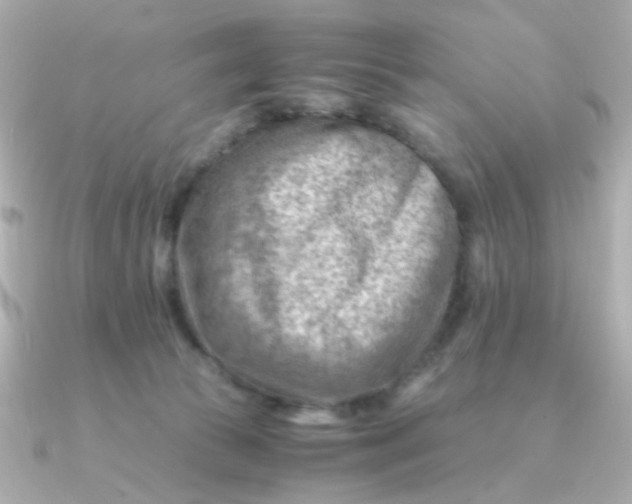 X0000090880177200708101351