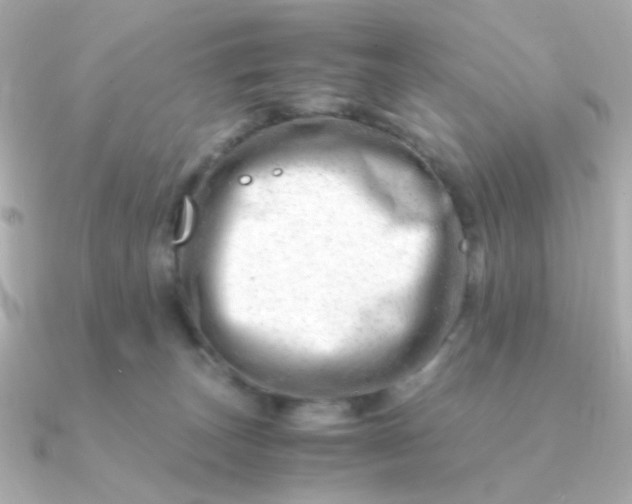 X0000090880179200708101351