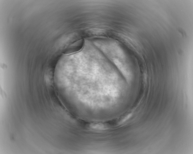 X0000090880181200708101351