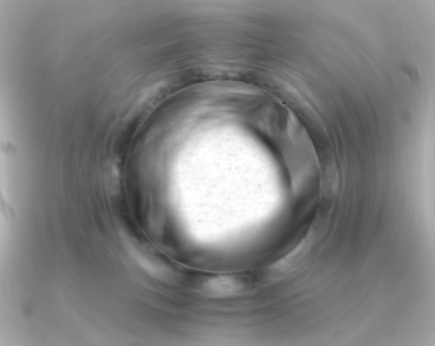 X0000090880183200708101351