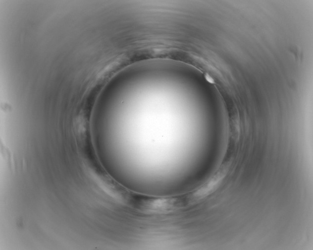 X0000090880184200708101351