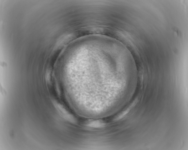 X0000090880185200708101351