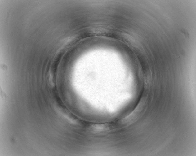 X0000090880187200708101351