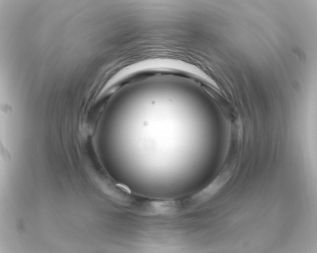 X0000090880188200708101351