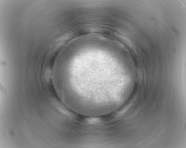 X0000090880189200708101351