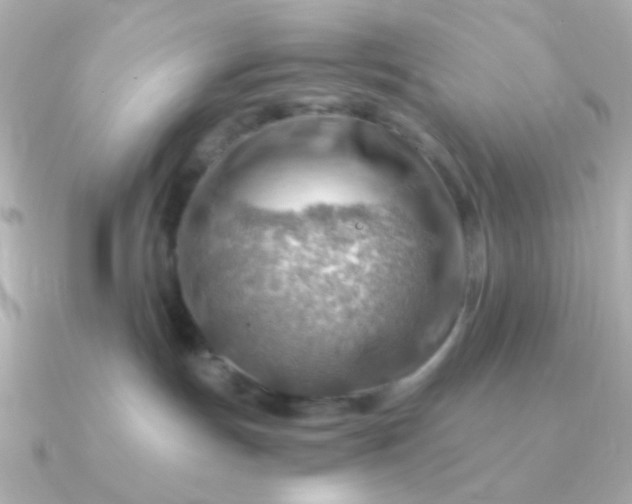 X0000090880191200708101351