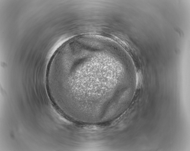 X0000090880195200708101350