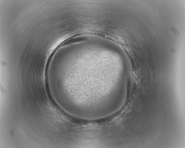 X0000090880196200708101350