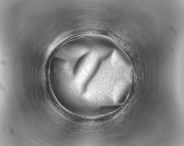 X0000090880198200708101350