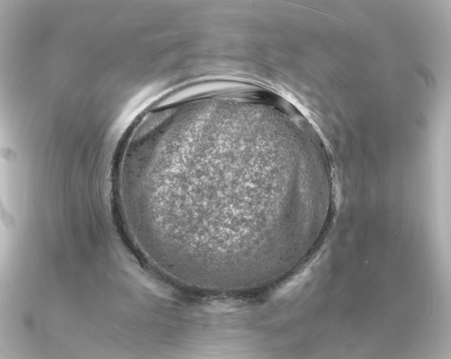 X0000090880199200708101350