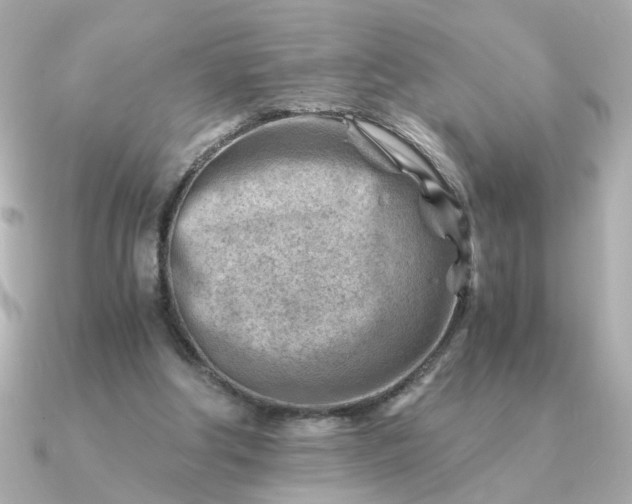 X0000090880202200708101350