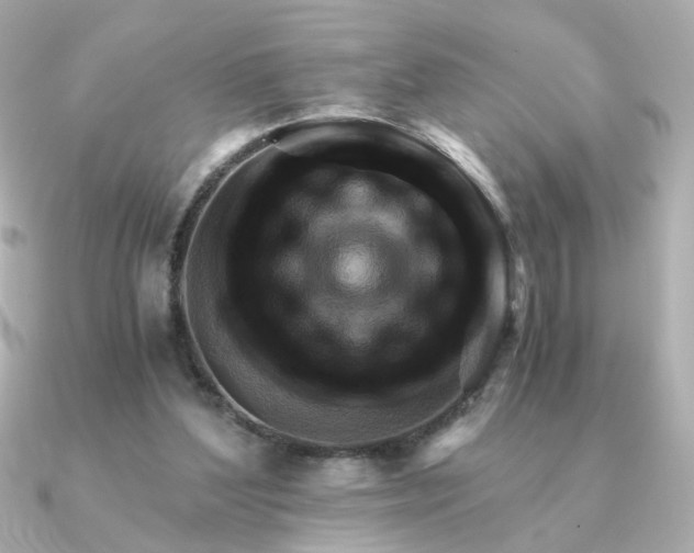 X0000090880204200708101350