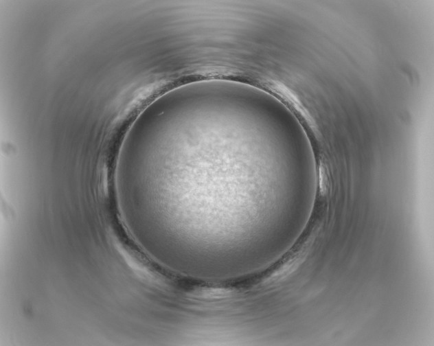 X0000090880205200708101350