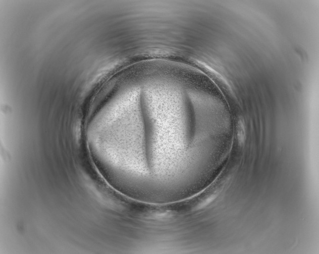 X0000090880206200708101350