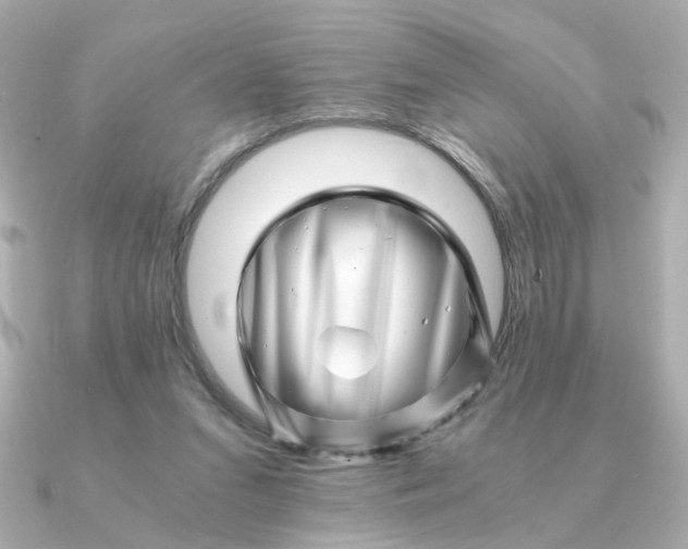 X0000090880207200708101350