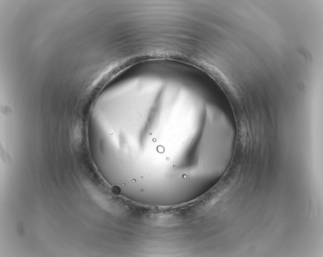 X0000090880208200708101350